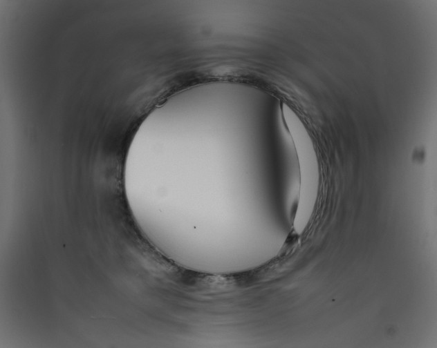 X0000089460421200707131953