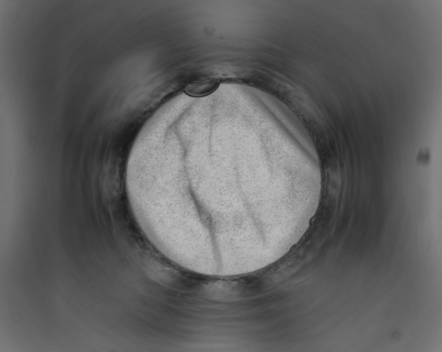 X0000089460422200707131953