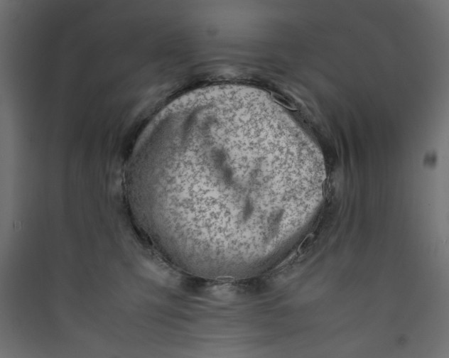 X0000089460423200707131953