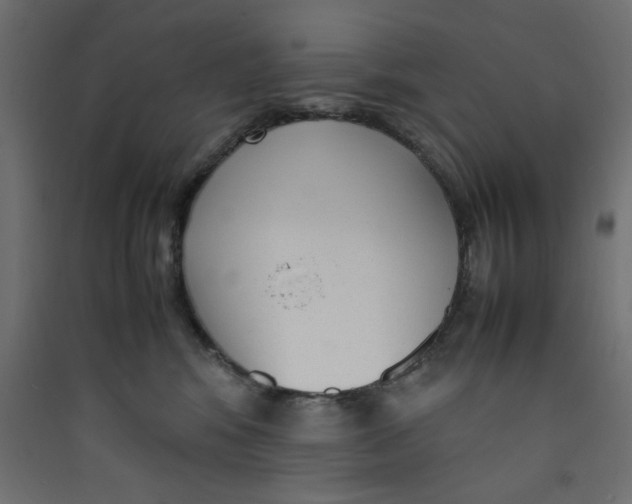 X0000089460424200707131953