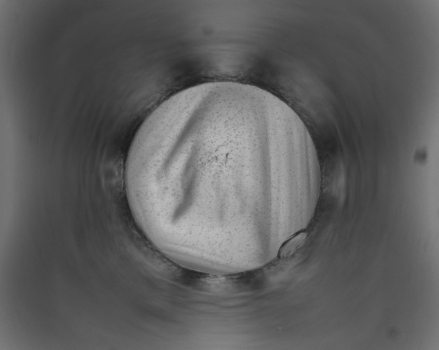 X0000089460425200707131953