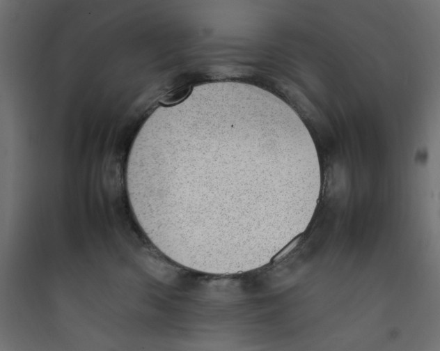 X0000089460426200707131953