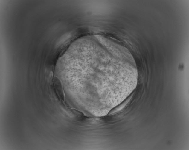 X0000089460427200707131952