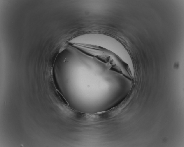 X0000089460429200707131952