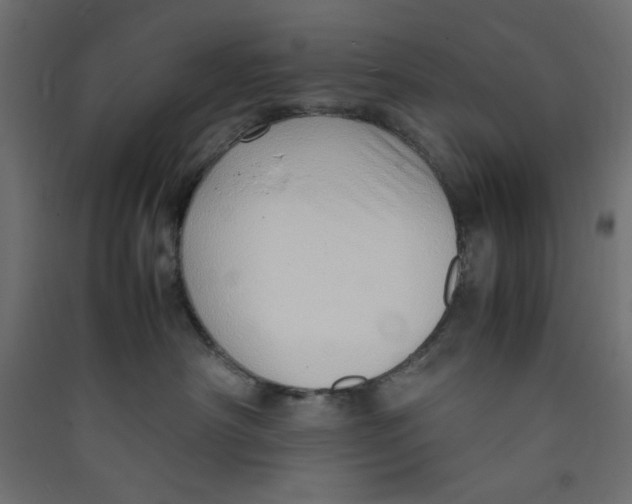 X0000089460430200707131952