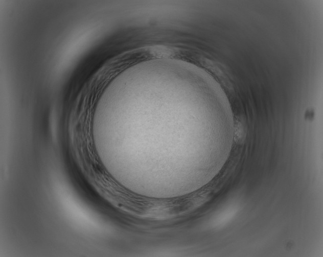 X0000089460431200707131952