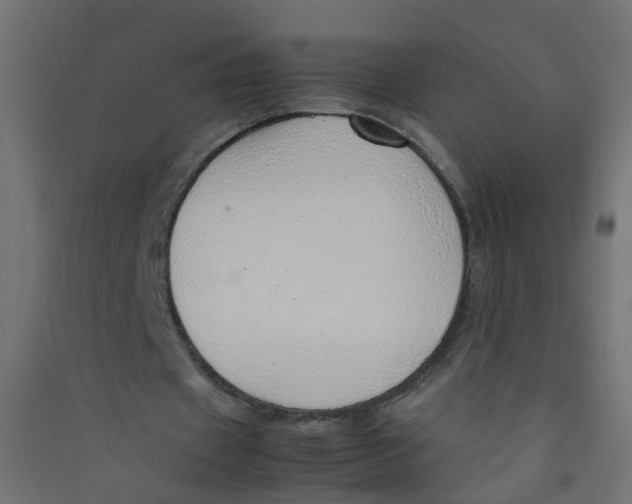 X0000089460433200707131952