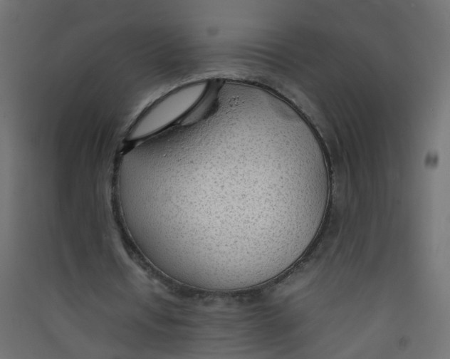 X0000089460434200707131952