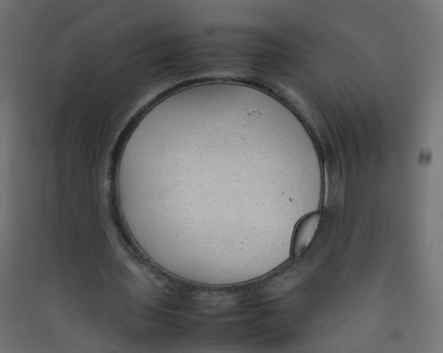 X0000089460435200707131952