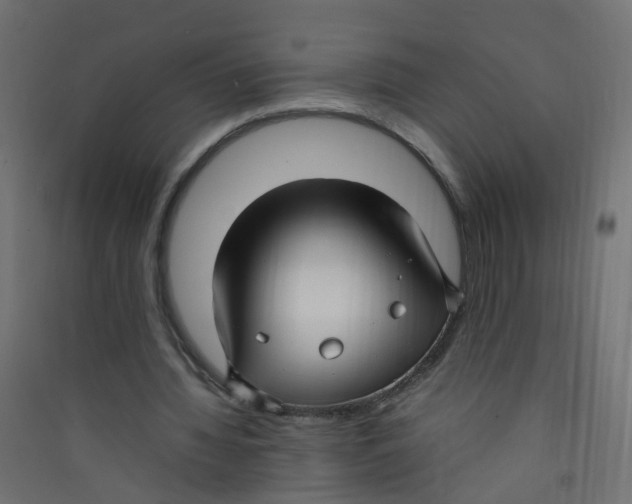 X0000089460436200707131952