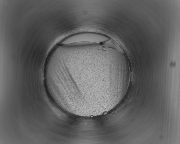 X0000089460438200707131952