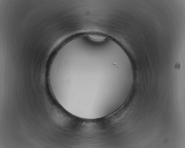 X0000089460440200707131952