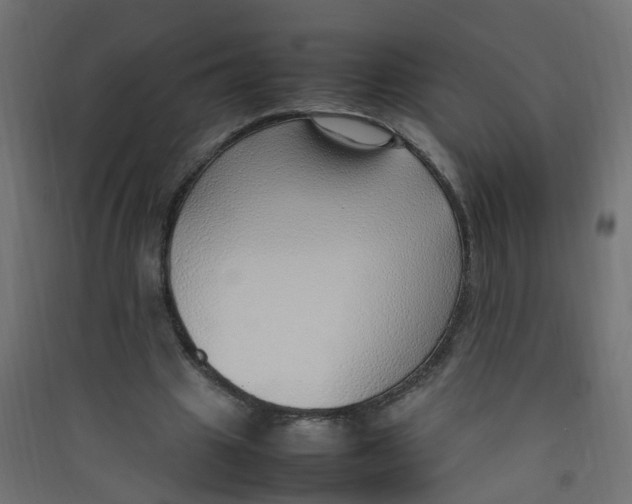 X0000089460441200707131952