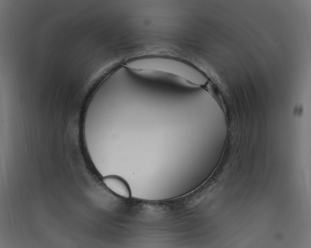 X0000089460442200707131952