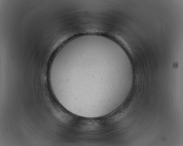 X0000089460443200707131952