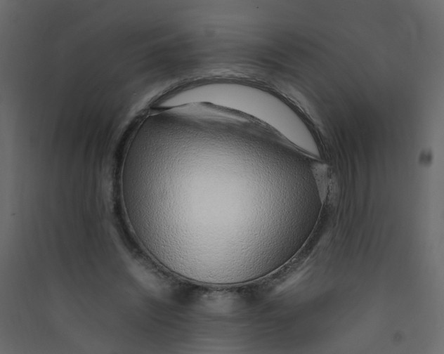 X0000089460444200707131952