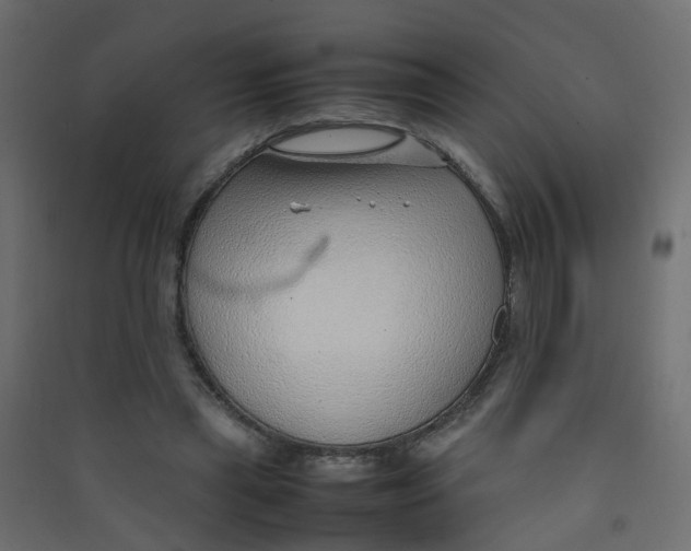 X0000089460445200707131952