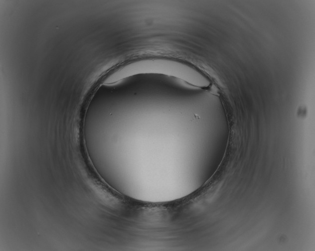 X0000089460446200707131952