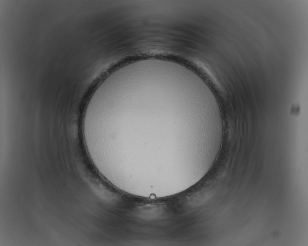 X0000089460447200707131952