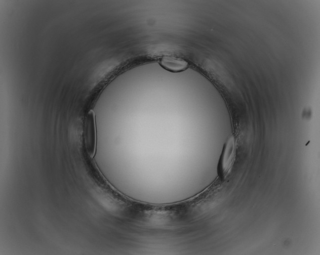 X0000089460448200707131952