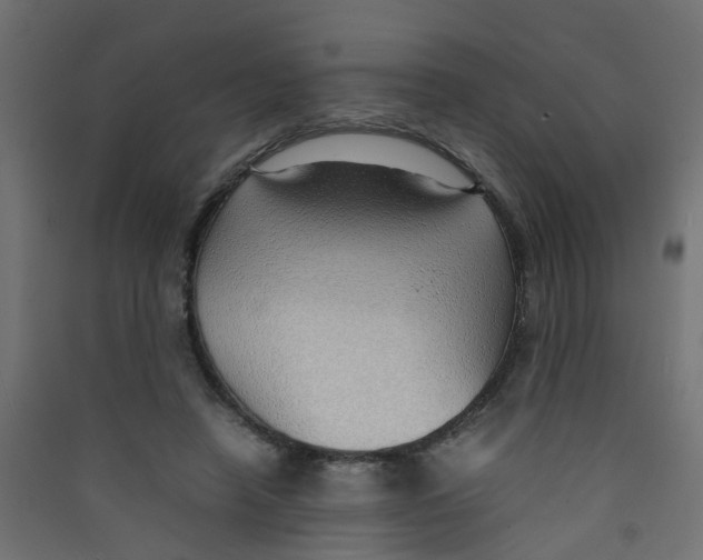 X0000089460450200707131952