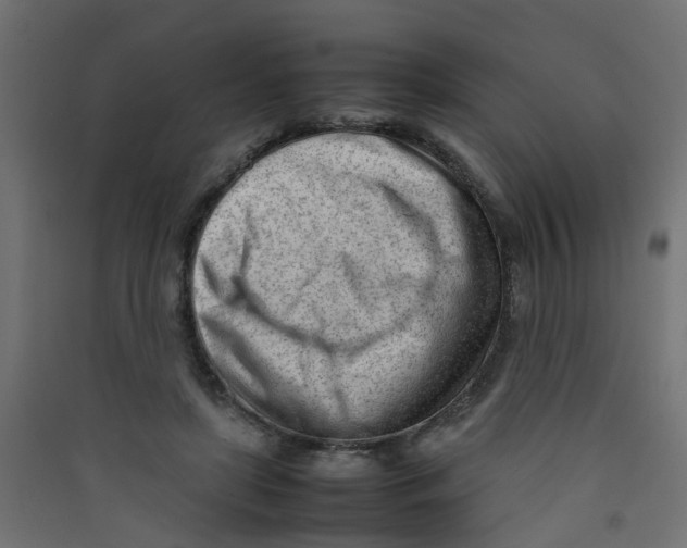 X0000089460451200707131952