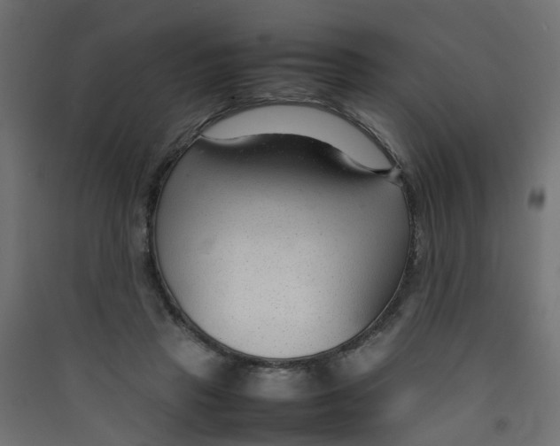 X0000089460453200707131952