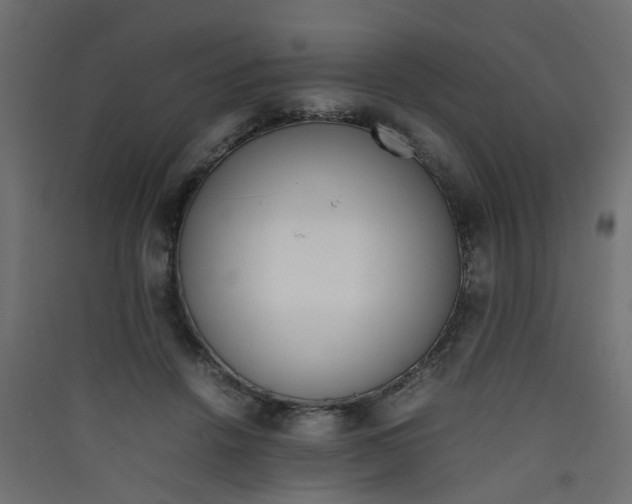 X0000089460456200707131952