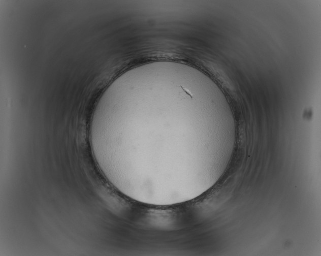 X0000089460457200707131952