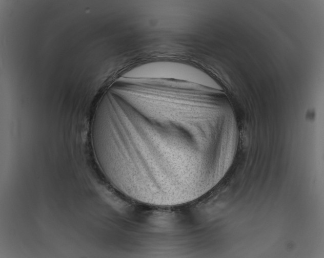 X0000089460458200707131952