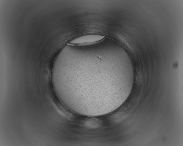 X0000089460459200707131952