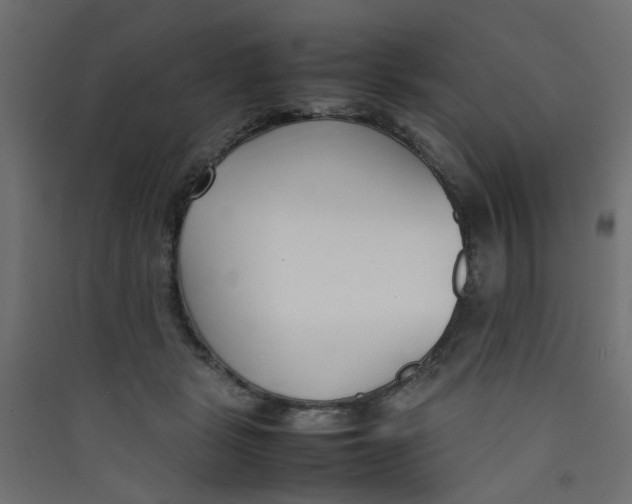 X0000089460461200707131952