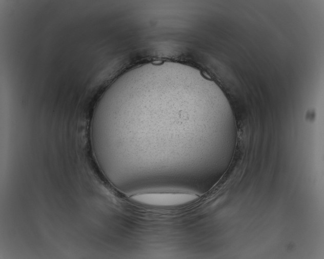 X0000089460462200707131952