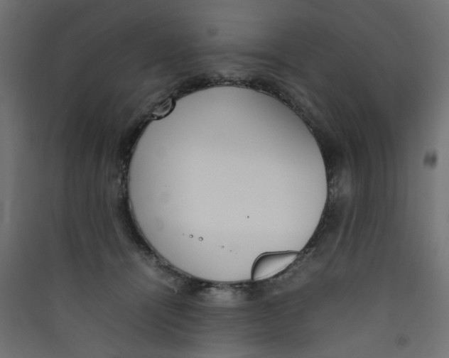 X0000089460464200707131952