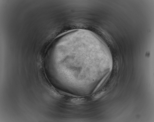 X0000089460465200707131952