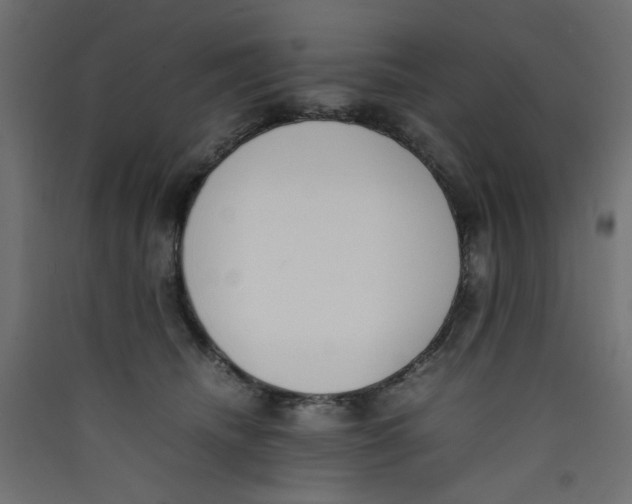 X0000089460468200707131952