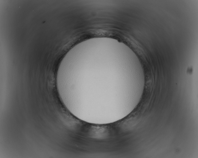 X0000089460469200707131952