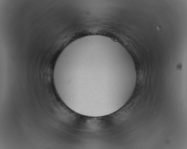 X0000089460470200707131952