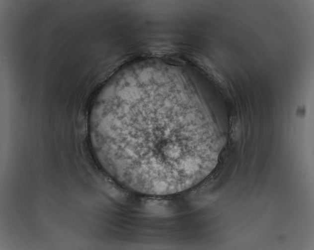 X0000089460471200707131952