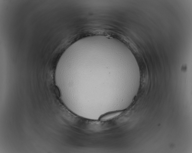 X0000089460473200707131952