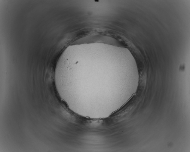 X0000089460474200707131952