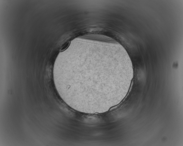 X0000089460475200707131952