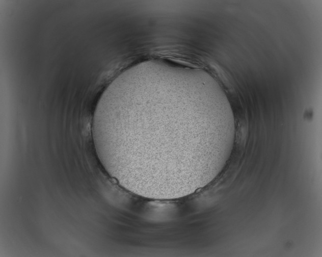 X0000089460477200707131952