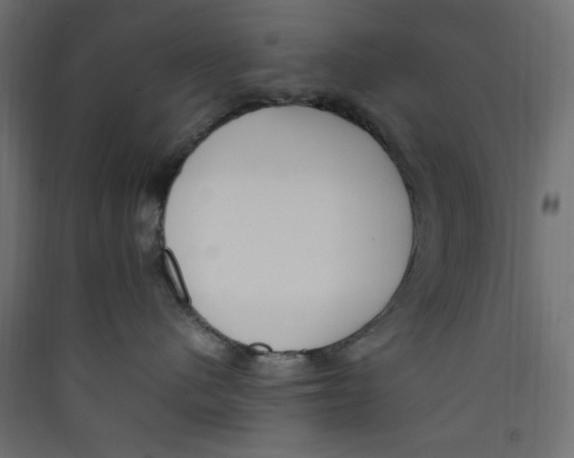 X0000089460480200707131952