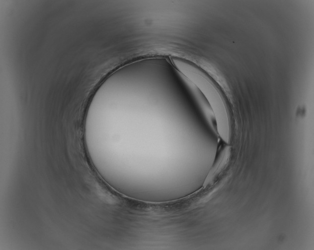 X0000089460481200707131952