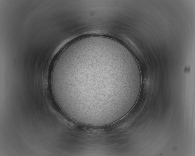 X0000089460484200707131952