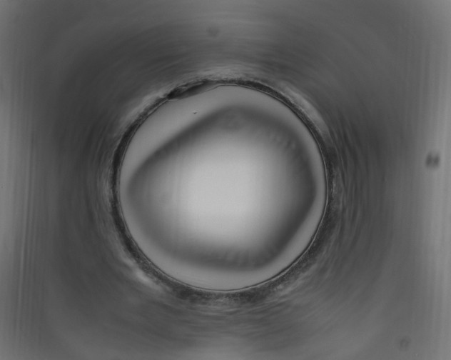 X0000089460485200707131952