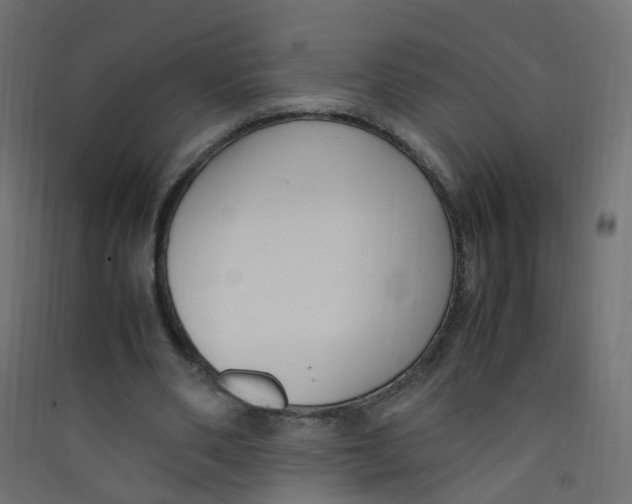 X0000089460486200707131952