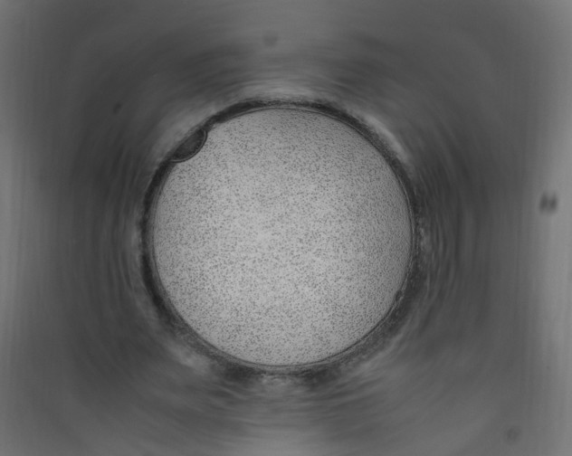 X0000089460487200707131952