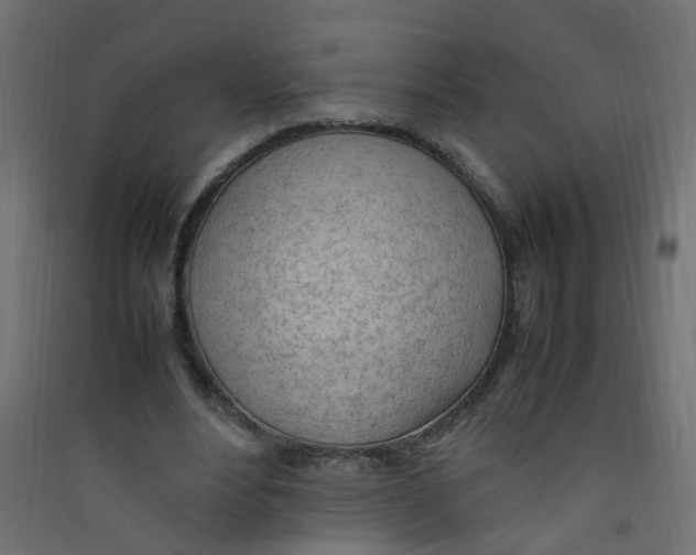 X0000089460488200707131952